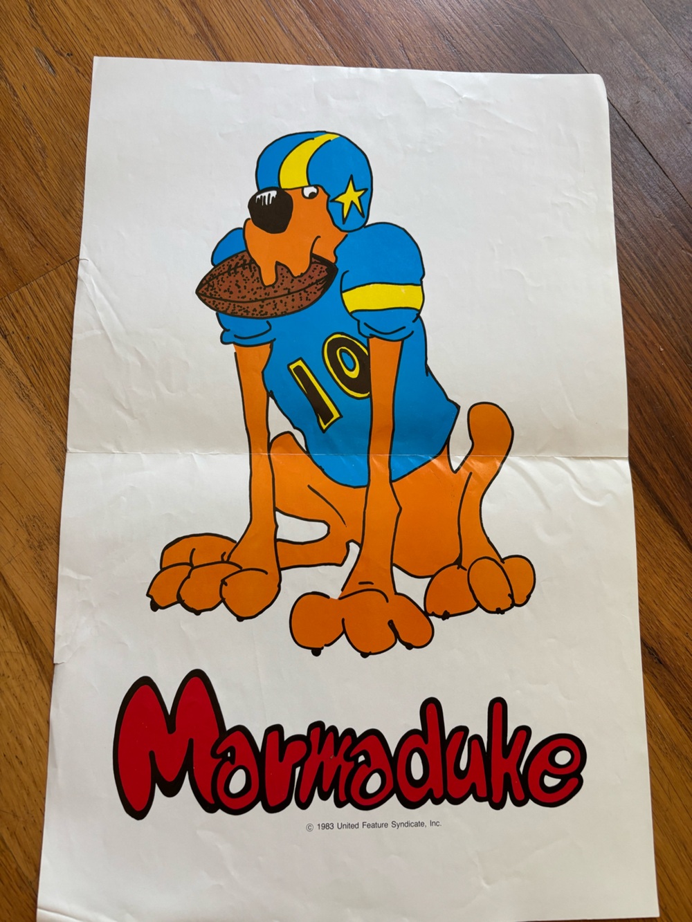 1983 scholastic book fair Marmaduke football poster